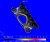 MAST_3D_PDENA_tn