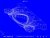 MAST_3D_geometry_tn