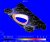 MAST_3D_ne_tn
